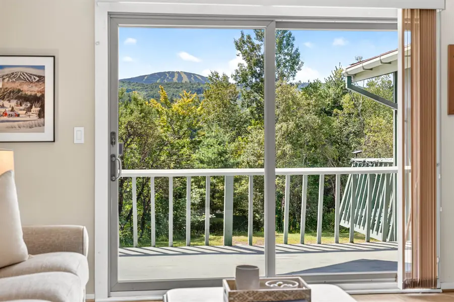 19 Winhall Condo Road #4, Winhall, VT 05340 - #2