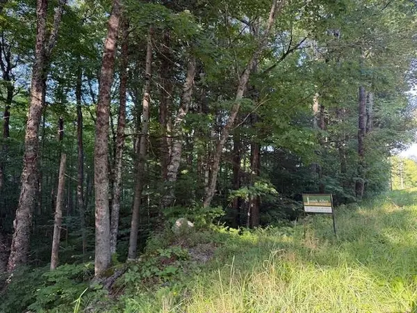 0 Sylvan Ridge Road #Lot 25, Winhall, VT 05340