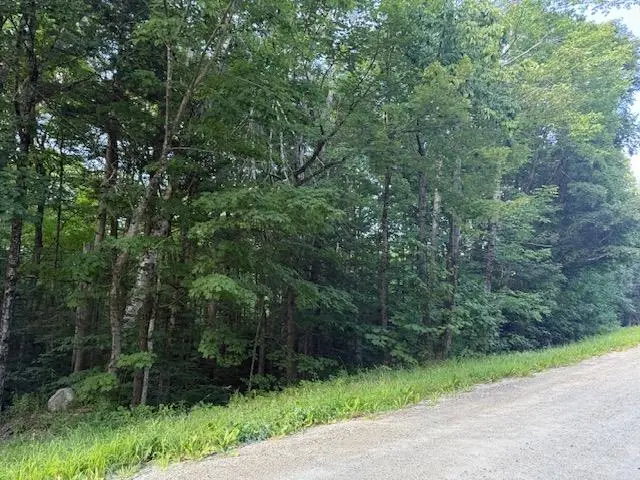 0 Sylvan Ridge Road #Lot 25, Winhall, VT 05340 - #3