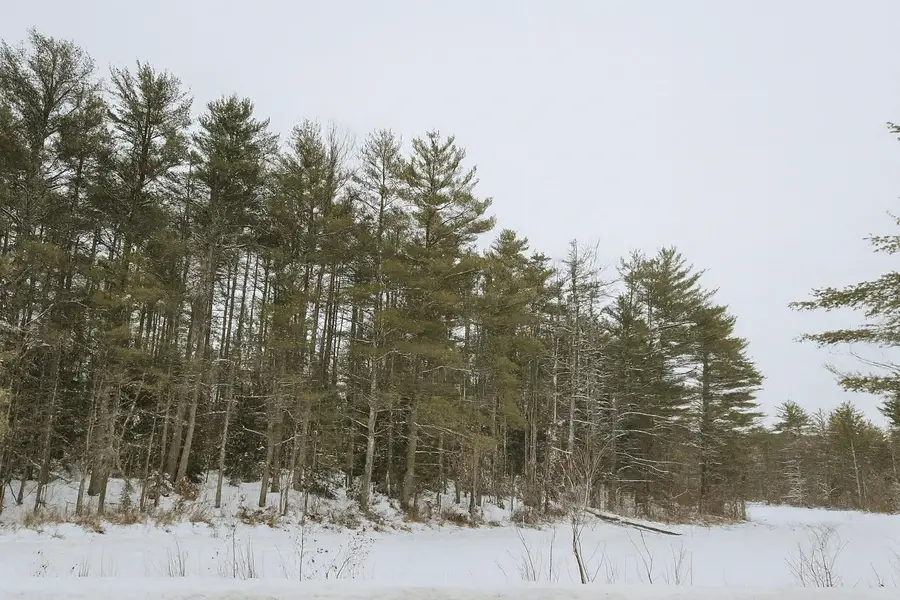 179 Chickville Road, Ossipee, NH 03864 - #2