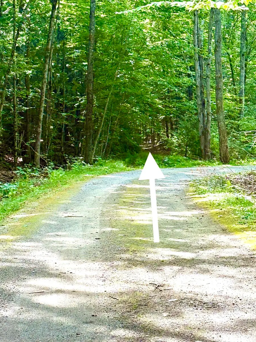 Lot 18.3 South Road, Hopkinton, NH 03229 - #2