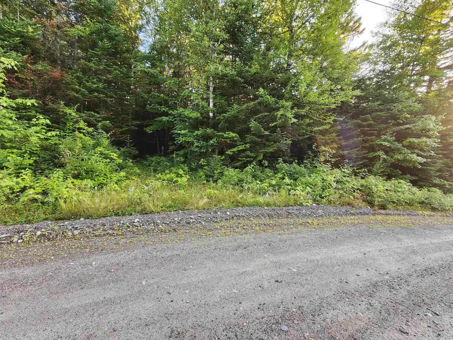 0000 Hampshire Woods Loop #R013-0007-0033, Errol, NH 03579 - #2