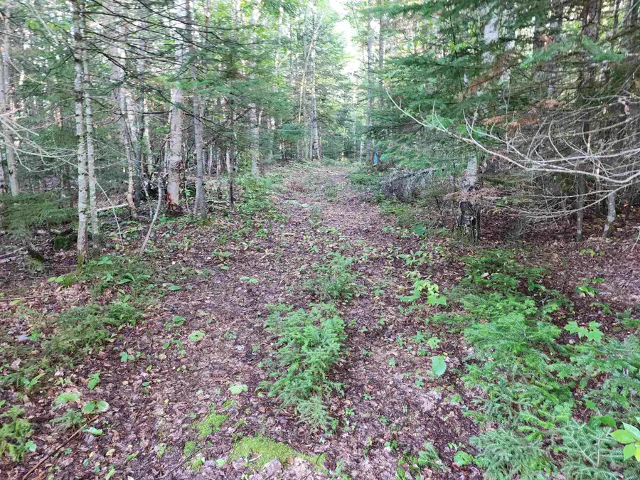 0000 Hampshire Woods Loop #R013-0007-0033, Errol, NH 03579 - #3