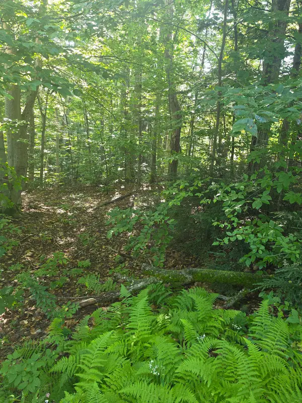 00 Allard Farm Circuit, Conway, NH 03860