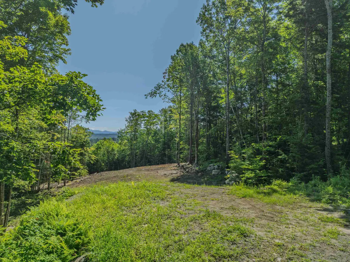 92-29 Birchcroft Drive, Littleton, NH 03561 - #1