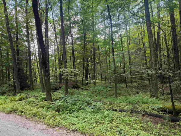 Anderson Road, Grafton, VT 05146