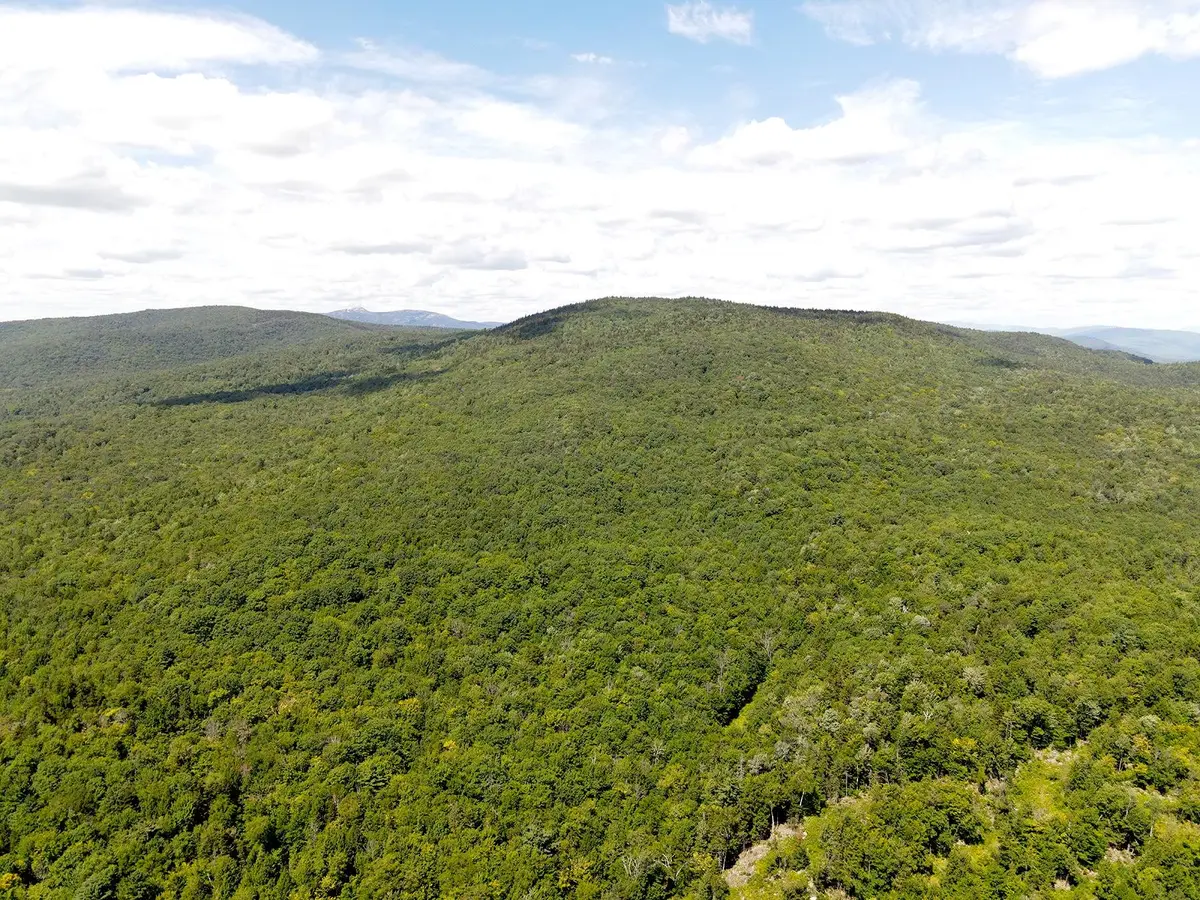 Poor Farm Road, Alexandria, NH 03222 - #1