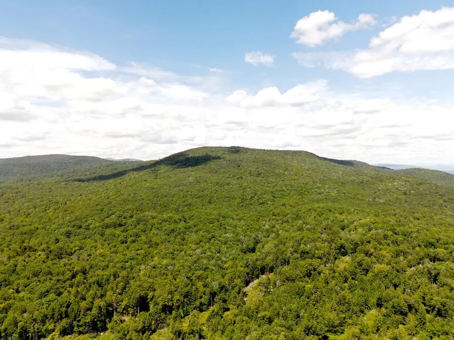 Poor Farm Road, Alexandria, NH 03222 - #2