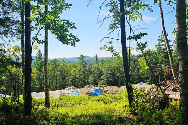 50 North Ridge Road, Ludlow, VT 05149