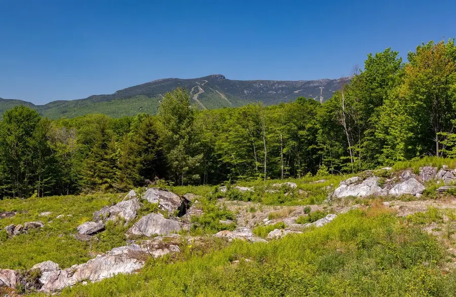0 Wade Pasture Road #89, Stowe, VT 05672 - #3