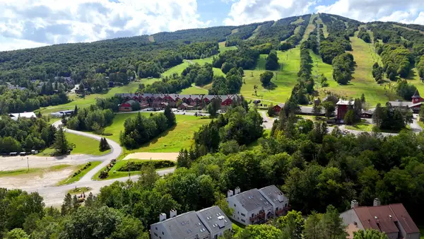 11N Snow Tree Lane #Birches N, Dover, VT 05356