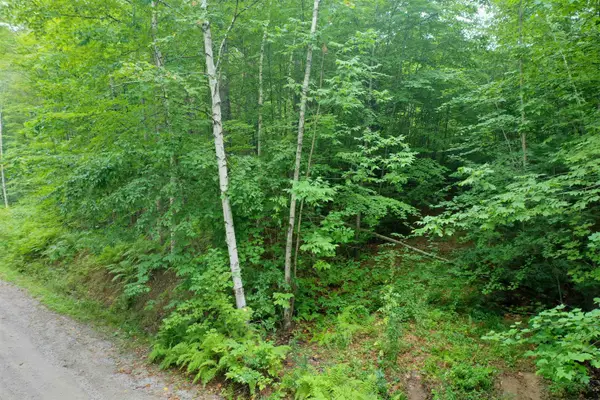 0 Guide Board Hill Road, Webster, NH 03303