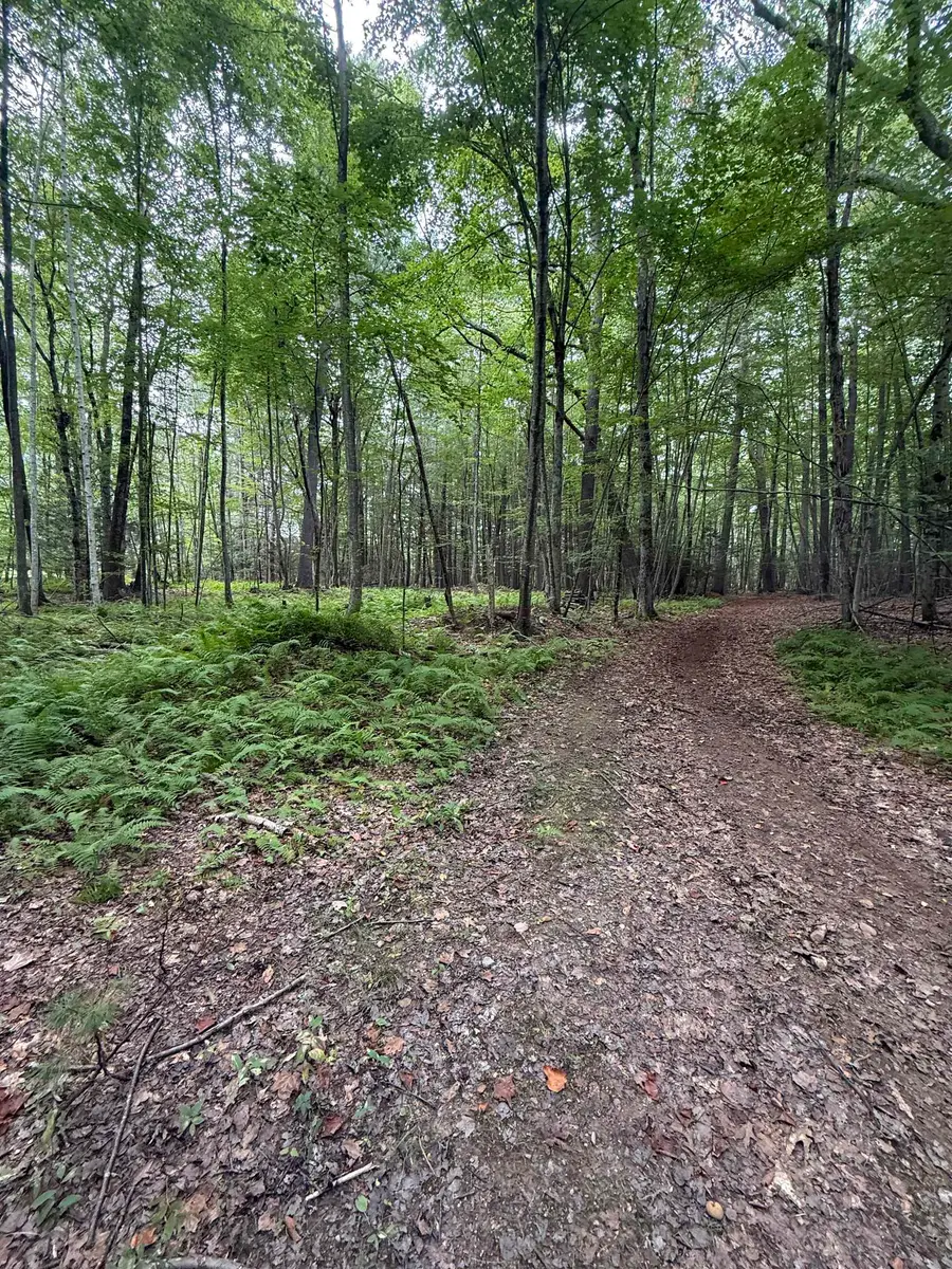 21 Chase Road #Lot 2, Map 11 Block 10, Newton, NH 03858 - #3