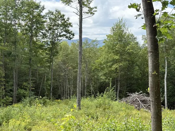 Perkins Hill Road #2, Alexandria, NH 03222