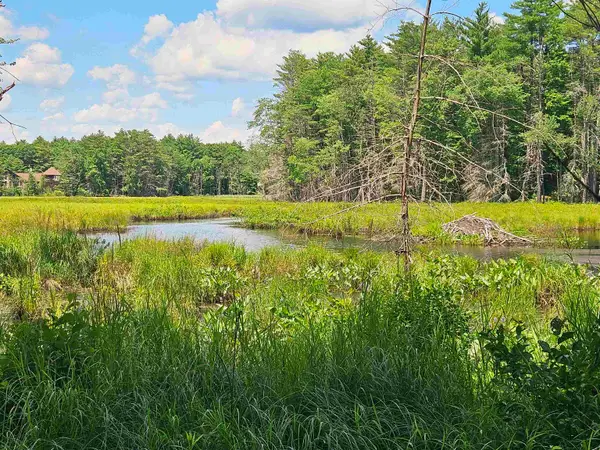Map 257-Lot 32 Route 11, New Durham, NH 03855