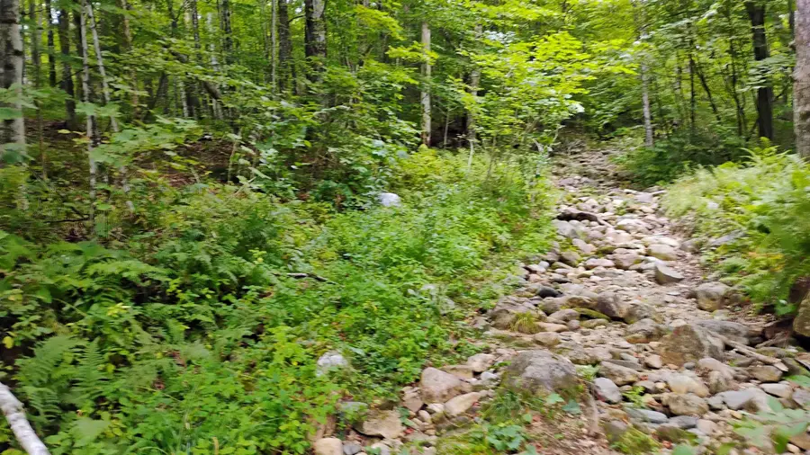 xx Washburn Road, Orange, NH 03741 - #2