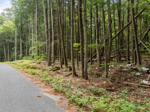 30 D Forest Pond Road, New Hampton, NH 03256