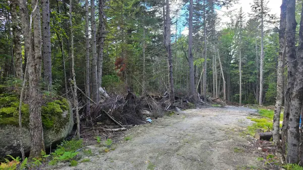 M10 L41 Taylor Circle, Washington, NH 03280