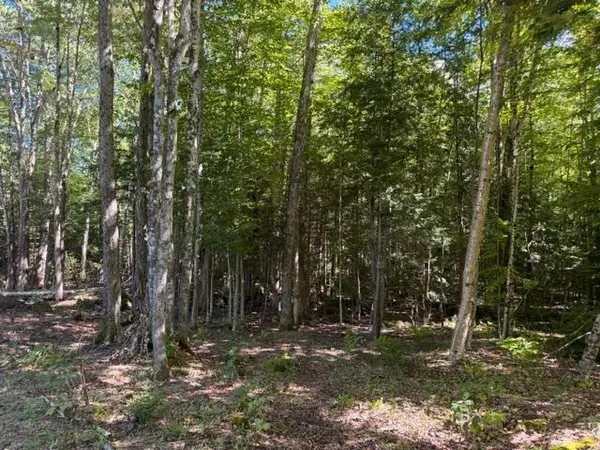 Lot 5 Partridge Road, Jackson, NH 03846