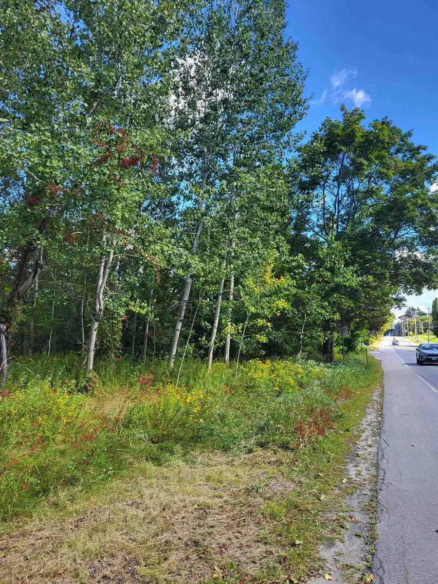 0 Main Street #TM 206/Parcels 20 & 21, Bethlehem, NH 03574 - #3