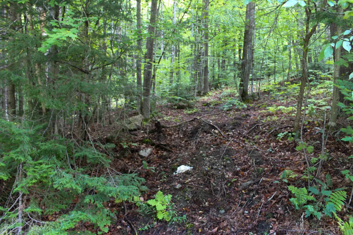 00 Hillcrest Road, Andover, VT 05143 - #1