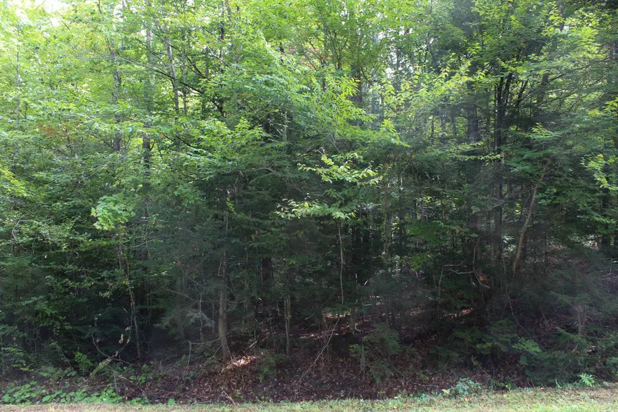 00 Hillcrest Road, Andover, VT 05143 - #2