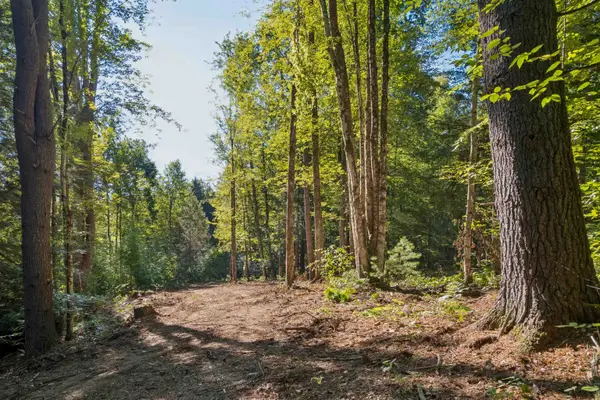 0 Charlestown Road #Lot C: Goldfinch Corner, Springfield, VT 05156