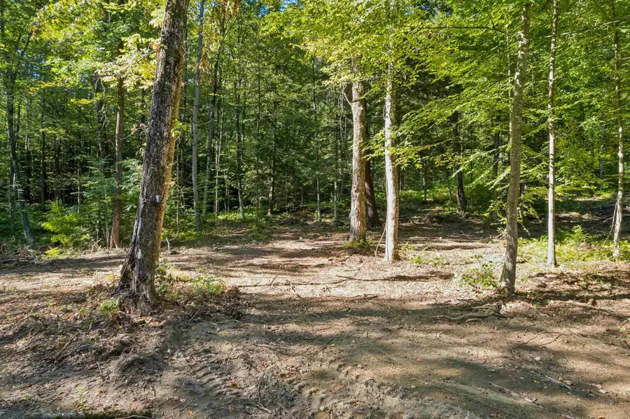0 Charlestown Road #Lot C: Goldfinch Corner, Springfield, VT 05156 - #2