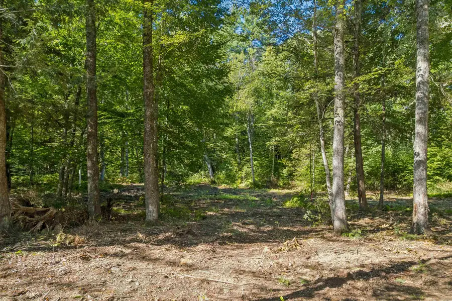 0 Charlestown Road #Lot C: Goldfinch Corner, Springfield, VT 05156 - #3