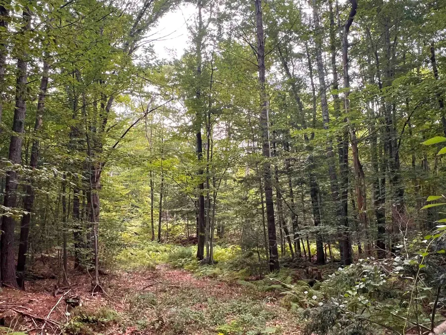 11C-291 Second NH Turnpike, Hillsborough, NH 03244 - #3