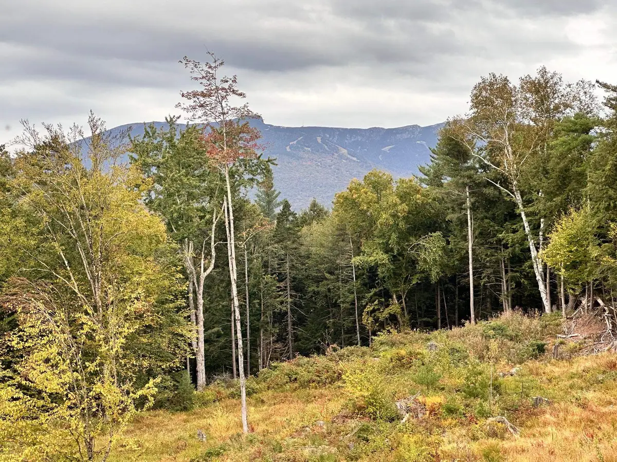 2364 mountain Road #Lot 3, Stowe, VT 05672 - #1