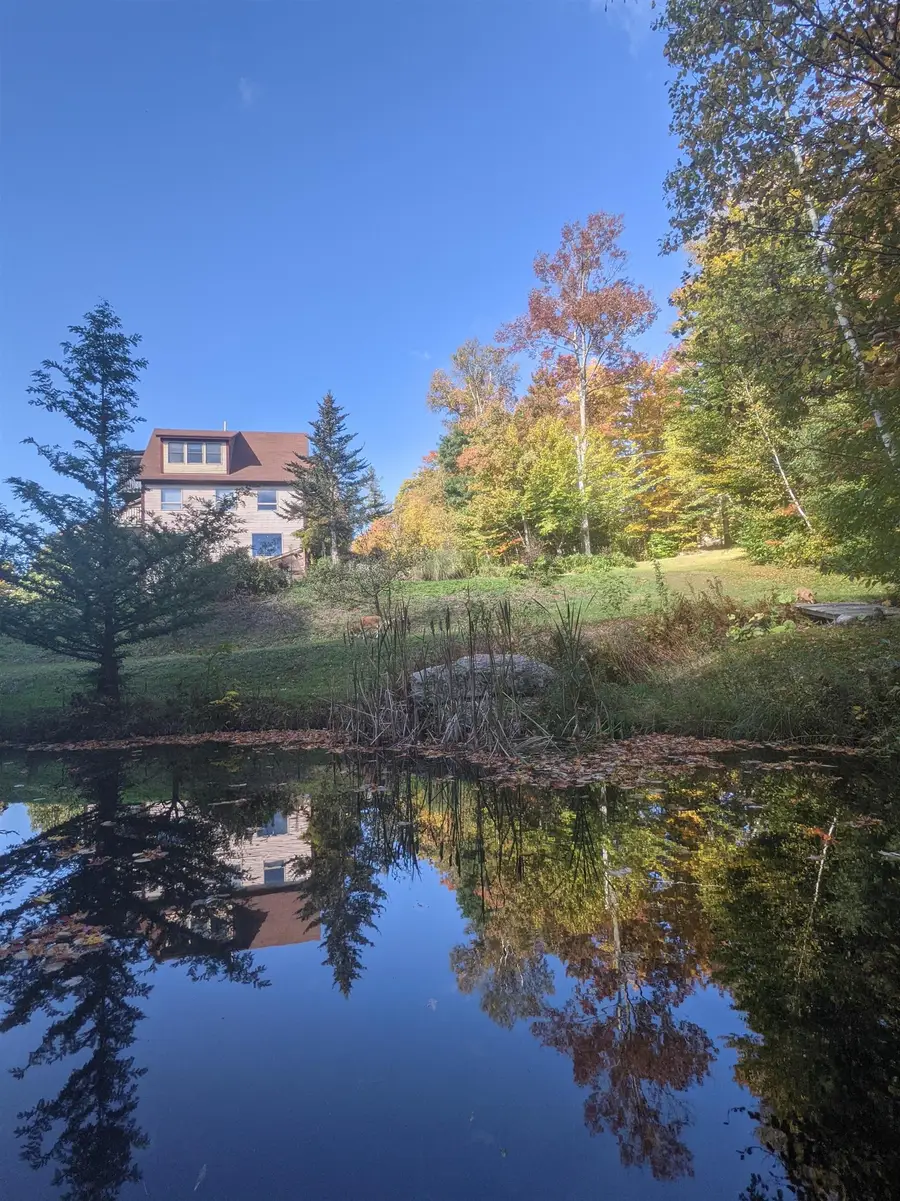 1113 Old Cheney Road, Windham, VT 05359 - #2
