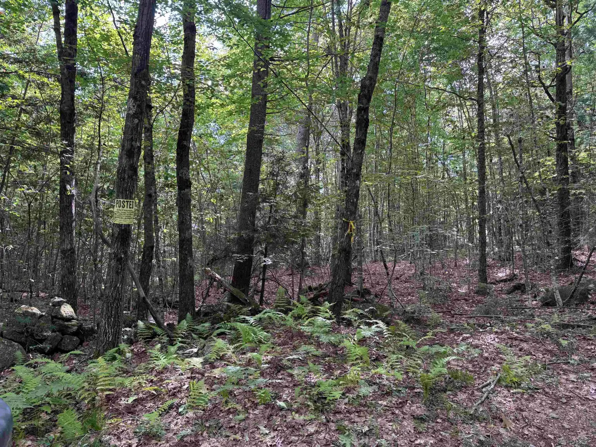 0 Old Pierce Road #Map 2 Lot 3, Fitzwilliam, NH 03447 - #1