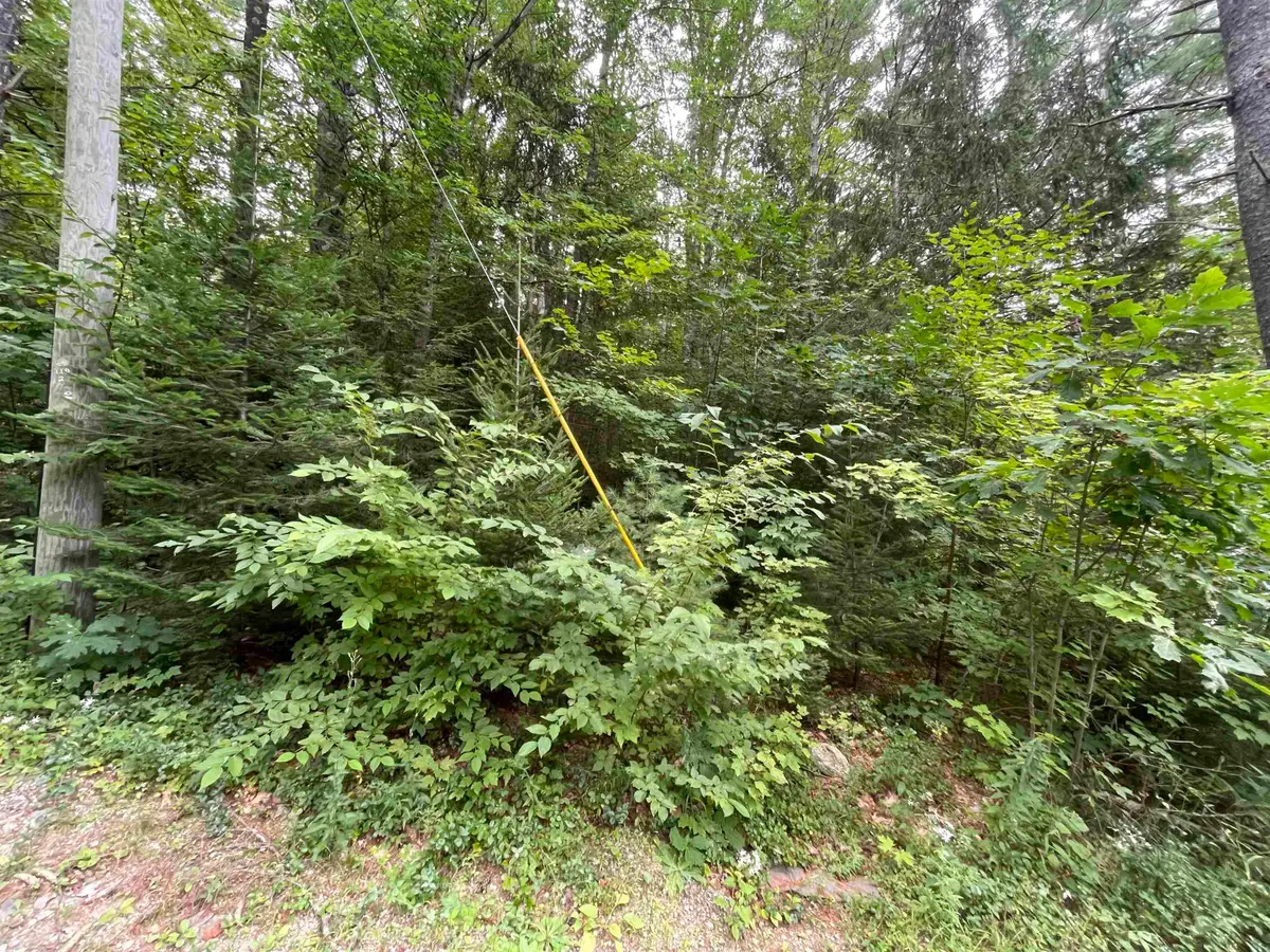 Sweeney Road, Washington, NH 03244 - #1