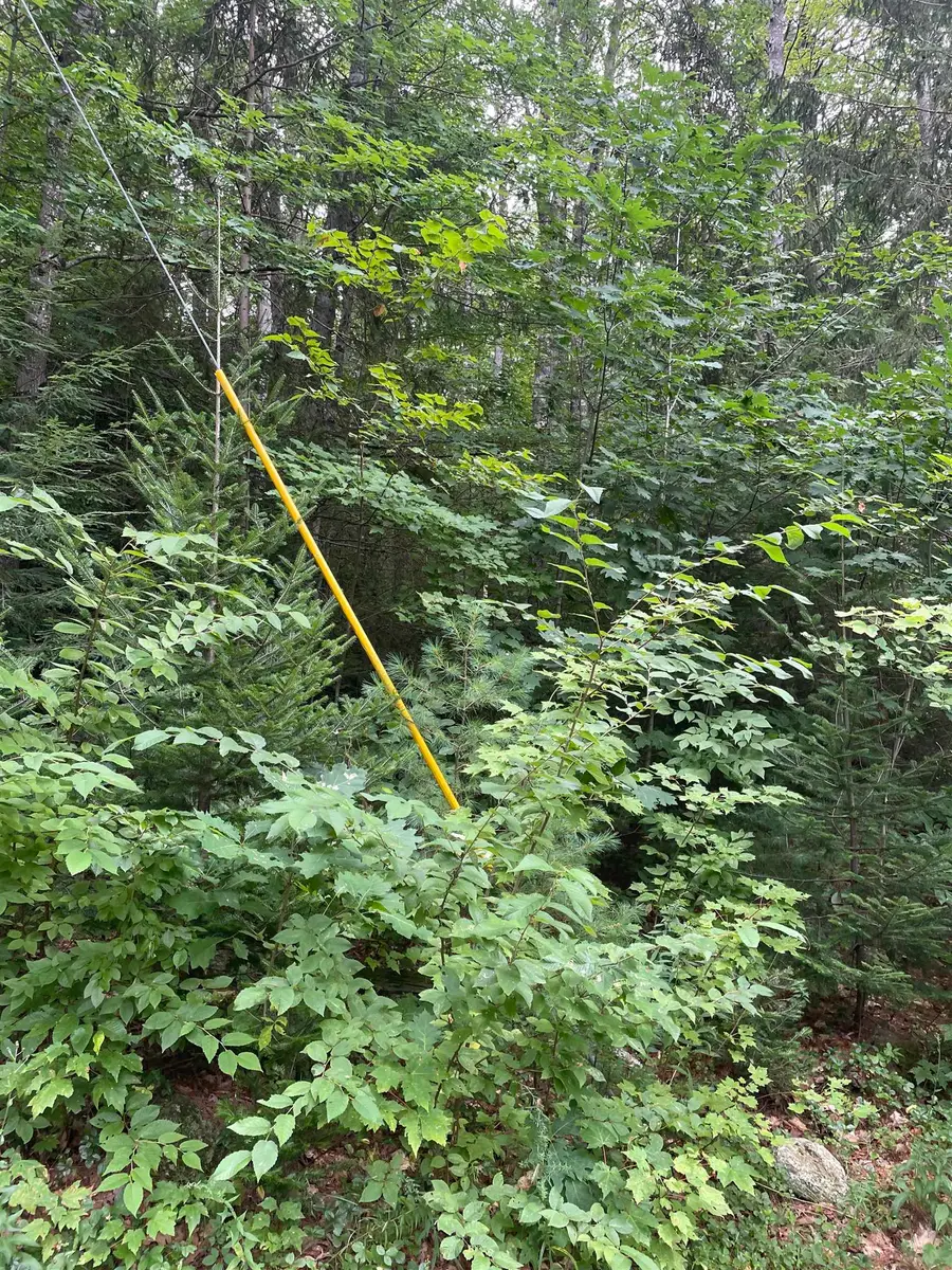 Sweeney Road, Washington, NH 03244 - #2