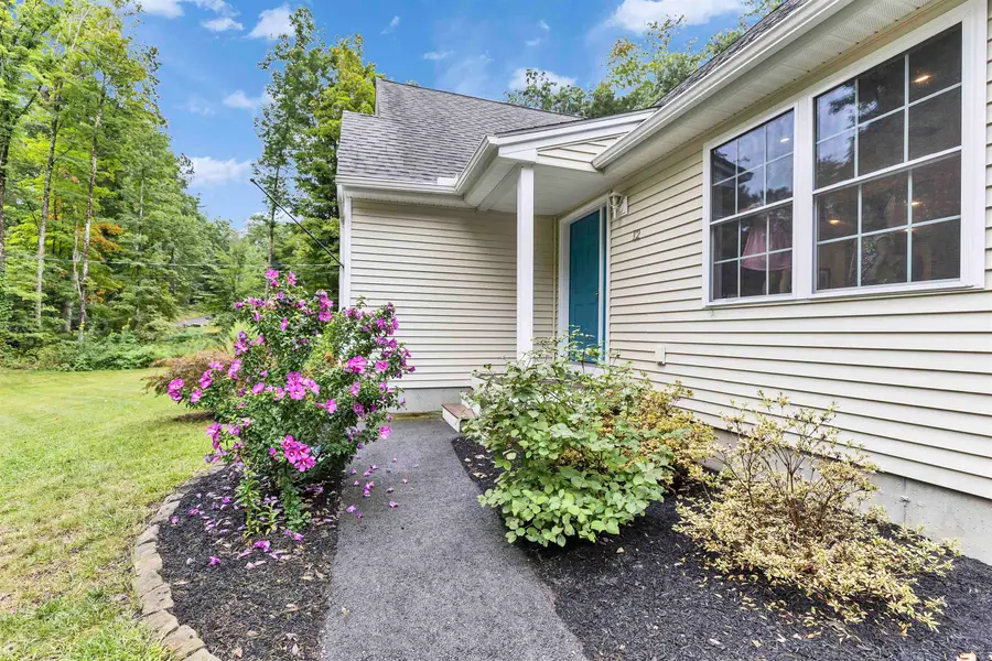 12 Springvale Avenue, Brookline, NH 03033 - #3