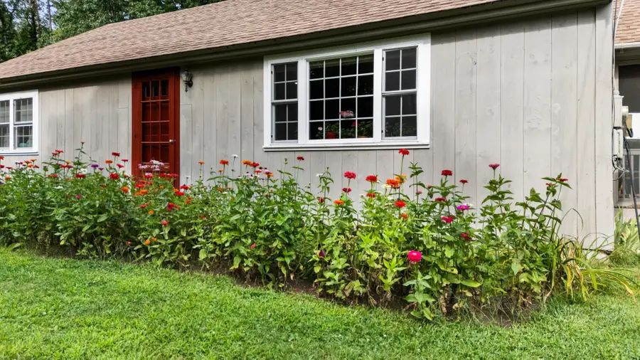 224 S Bennington Road, Bennington, NH 03442 - #2