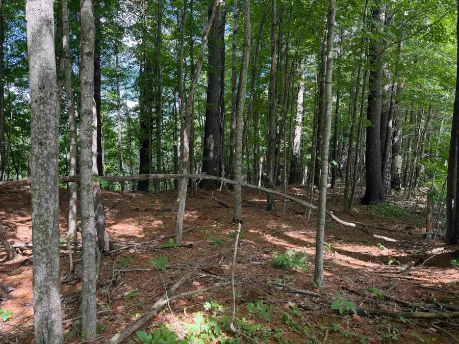 0 Route 242 Road, Jay, VT 05859 - #2