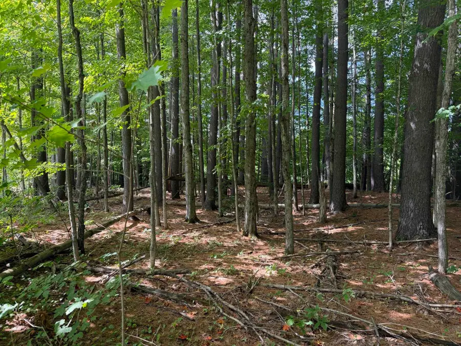 0 Route 242 Road, Jay, VT 05859 - #3