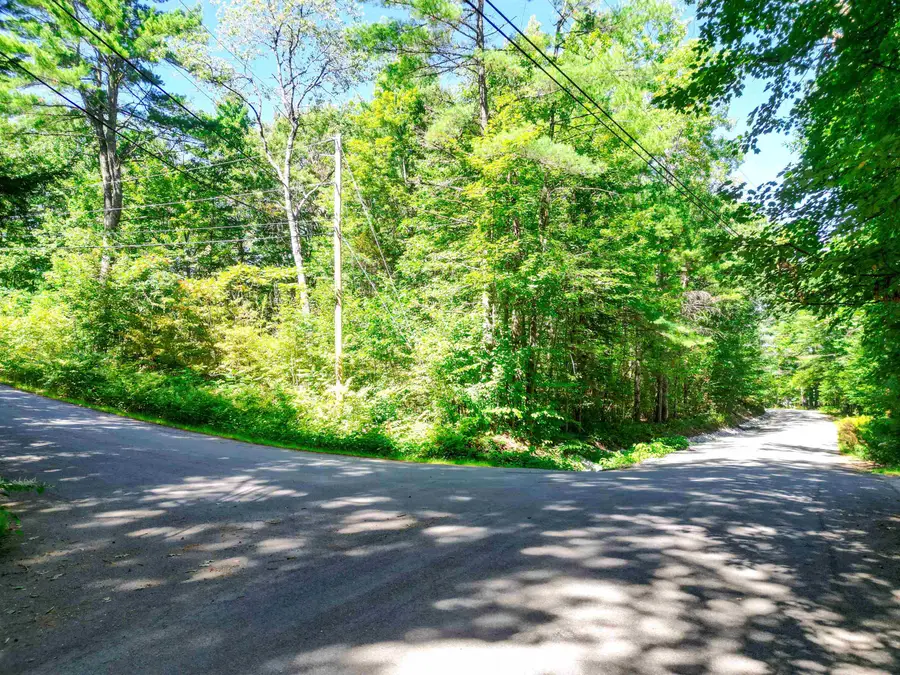 Map 117 Lot 25 Danforth Lane, Madison, NH 03849 - #2