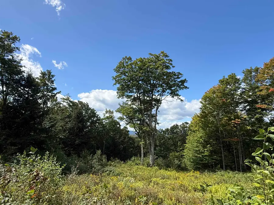 404 Woodland Drive, Wolcott, VT 05680 - #2