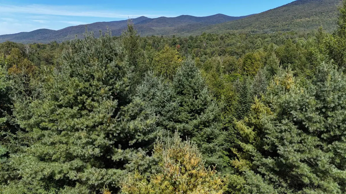 Lot 1 Bone Brook Lane, Lancaster, NH 03584 - #1