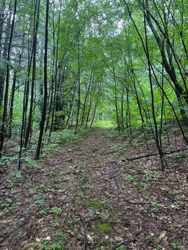 0 Grapevine Lane, Pownal, VT 05261