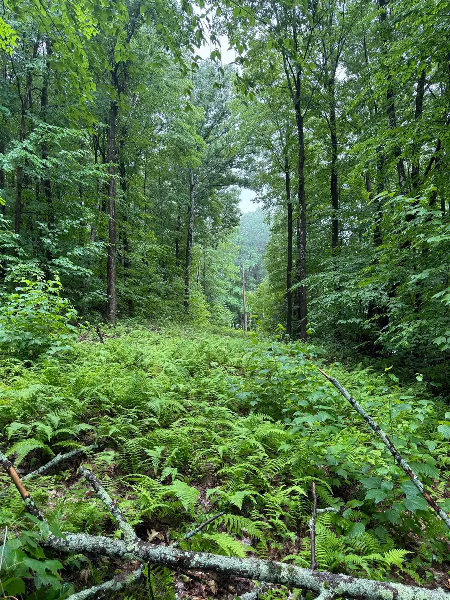 0 Grapevine Lane, Pownal, VT 05261 - #3