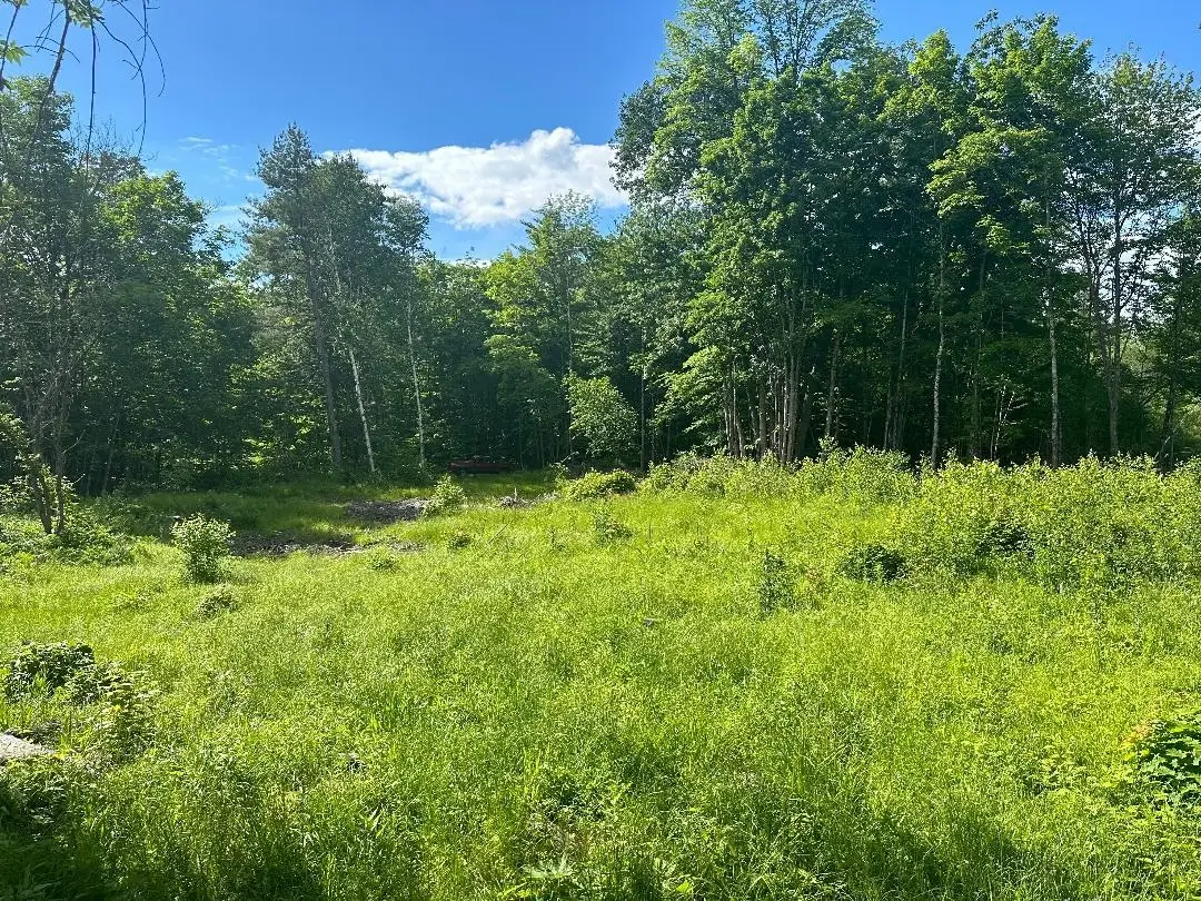 lot#4 Frescoln Road, Wentworth, NH 03282 - #1