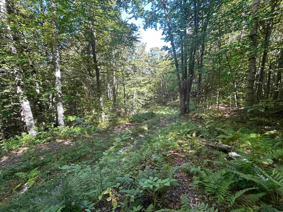 0 West Hill Road, Jamaica, VT 05343 - #1