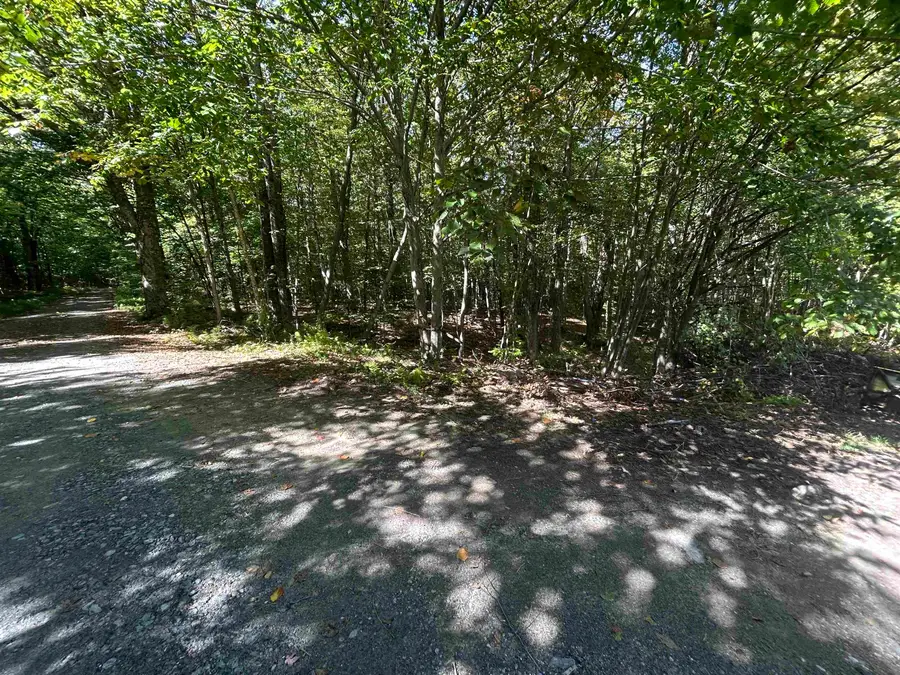 0 West Hill Road, Jamaica, VT 05343 - #3