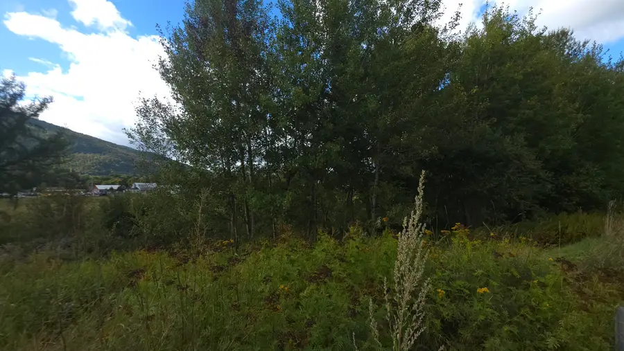 Lot 19.2 Metallak Place, Colebrook, NH 03576 - #3
