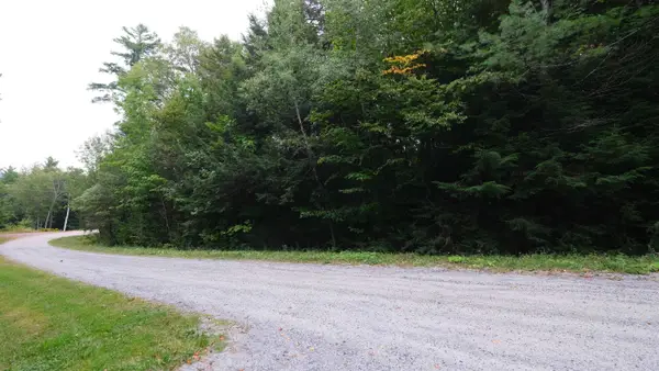 0 Bear Ridge Road, Ludlow, VT 05149