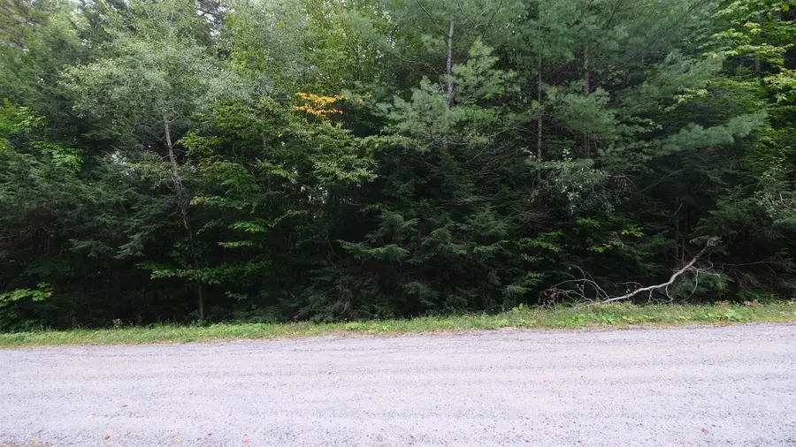 0 Bear Ridge Road, Ludlow, VT 05149 - #3